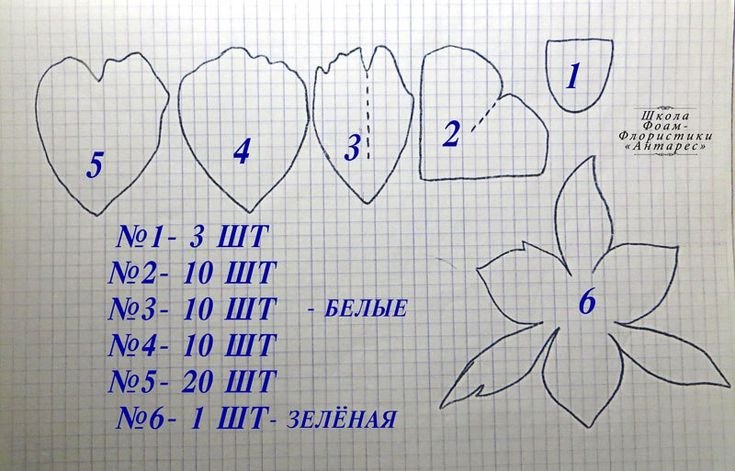 Чашелистик пиона из фоамирана