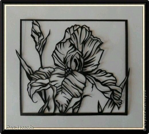 Силуэт ириса