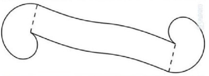 Макет браслета на руку