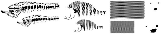 Трафареты для покраски приманок