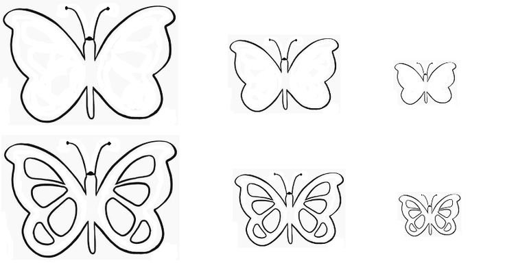 Трафареты бабочки