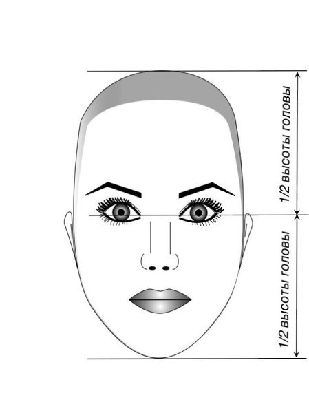форма идеального лица