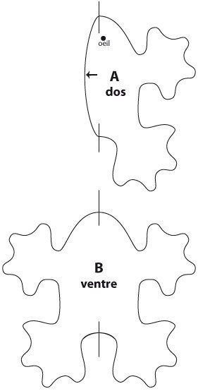 Выкройка жабки
