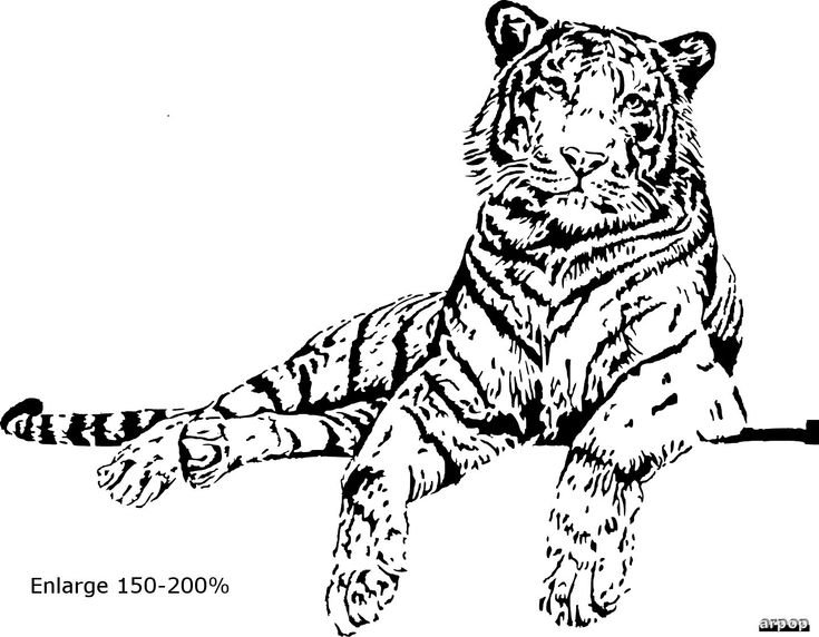 Рисунки для выжигания