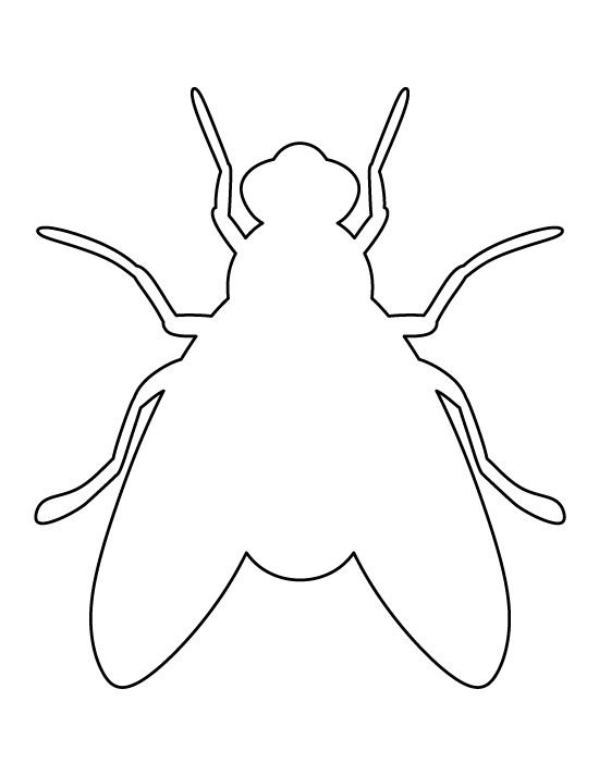 Насекомые трафарет для детей