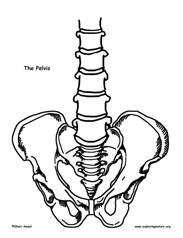 Кости Кощея