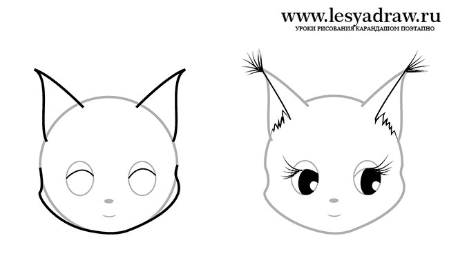 Мордочка белочки