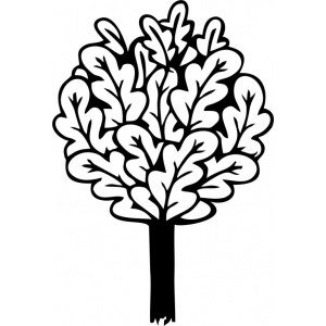 Дубовый веник вектор