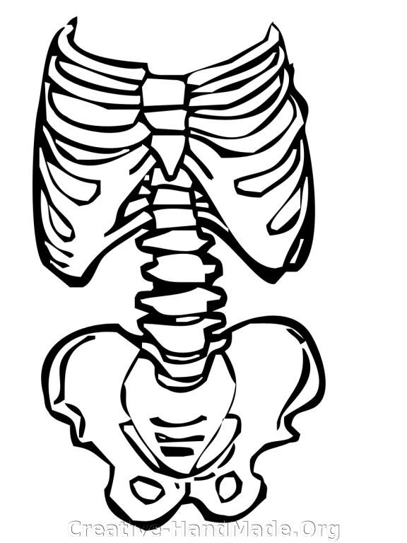 Кости для костюма Кощея