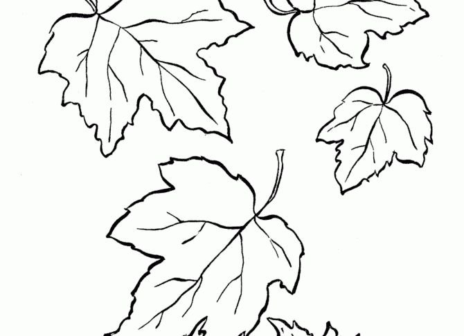 Листопад раскраска
