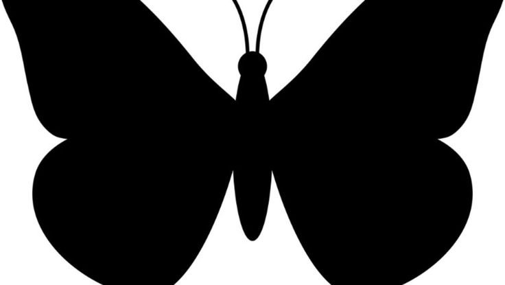 Бабочка очертание