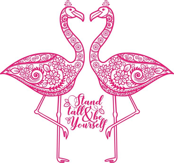 Фламинго трафарет для рисования