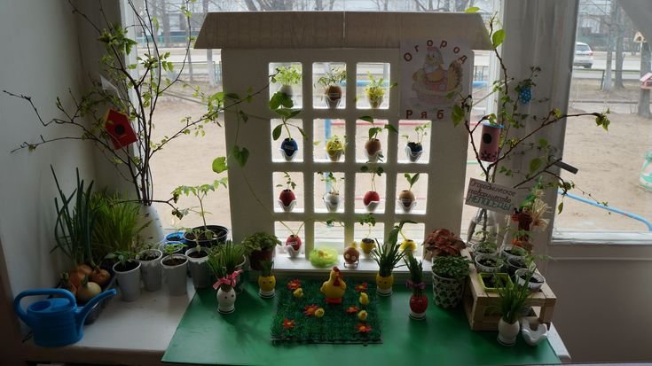 Огород на окошке в детском саду