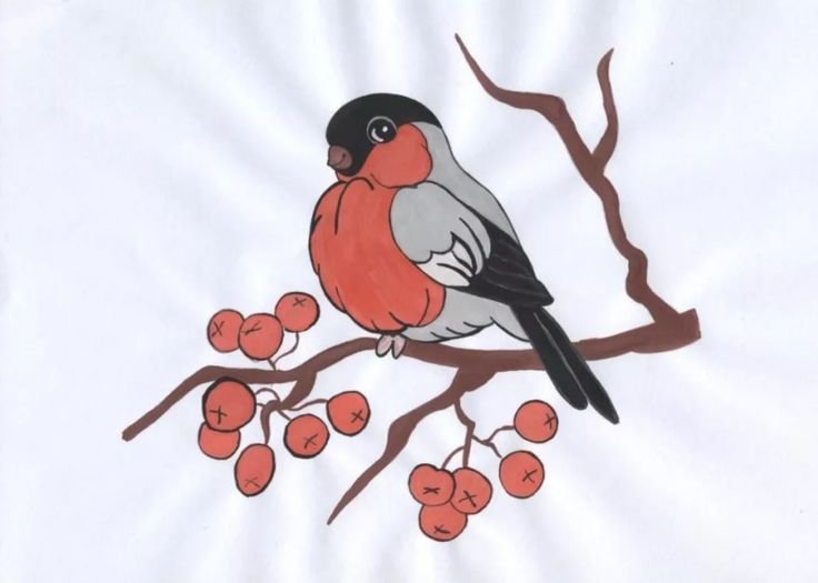 Снегирь рисунок для детей