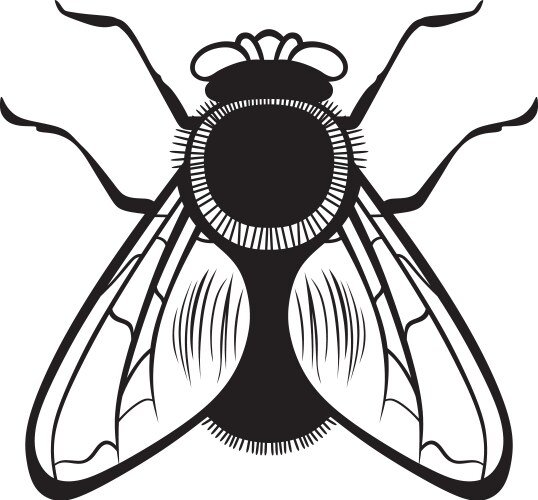 Муха раскраска