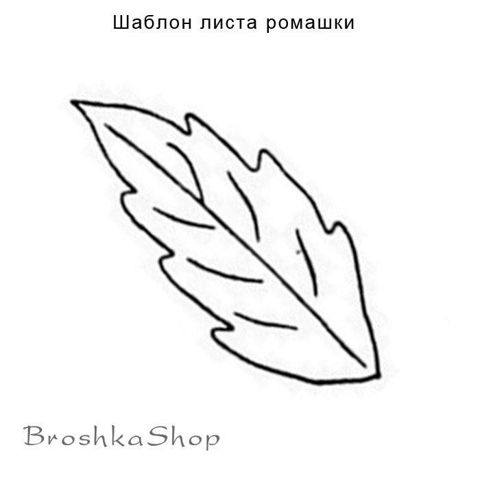Трафареты листочки ромашки 26 фото