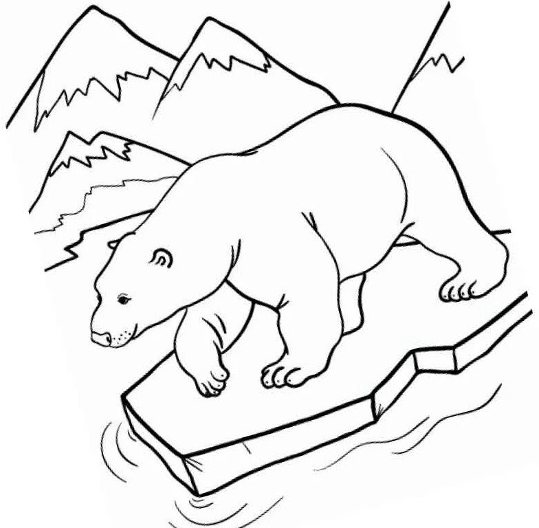 Белыймидведь раскраска