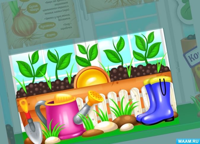 Огород на подоконнике