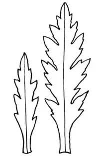 Трафарет листочка ромашки