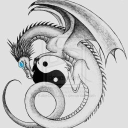 Дракон Инь Янь эскиз