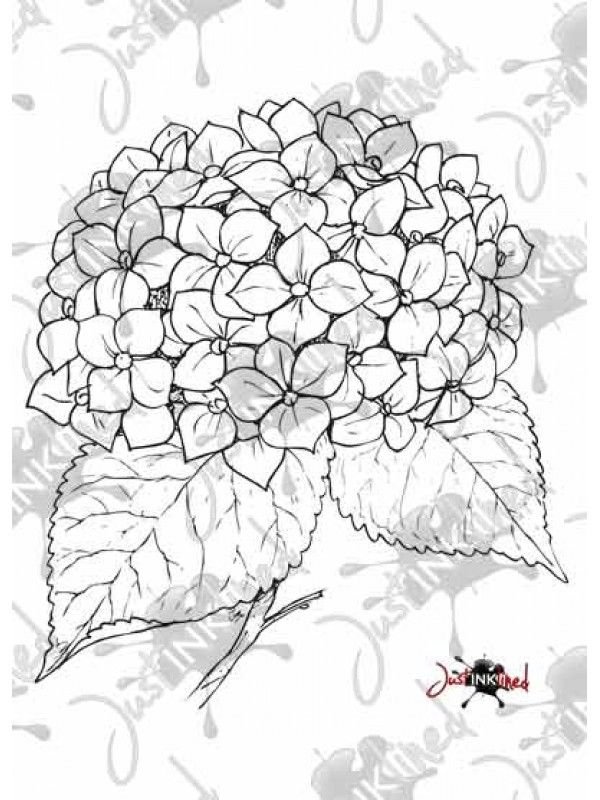 Листья гортензии трафарет