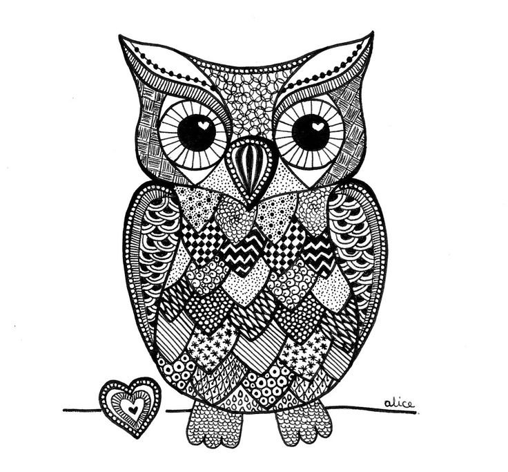 Зенарт Совы