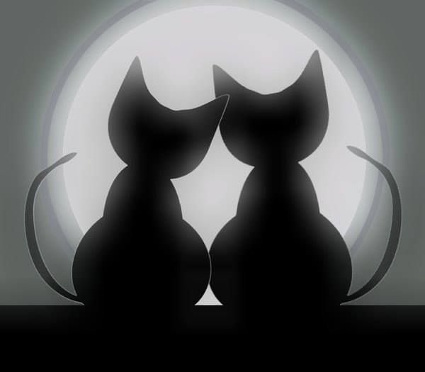 Силуэт кошки