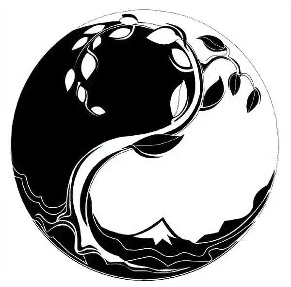 Инь Янь Япония