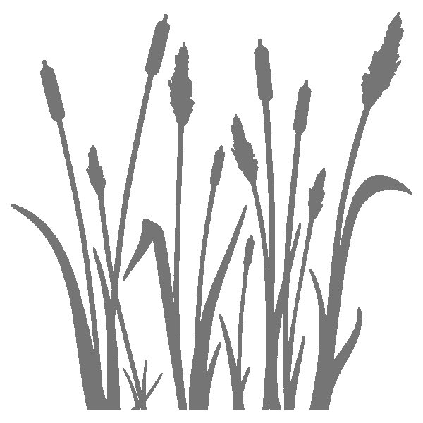 Трафарет камыш