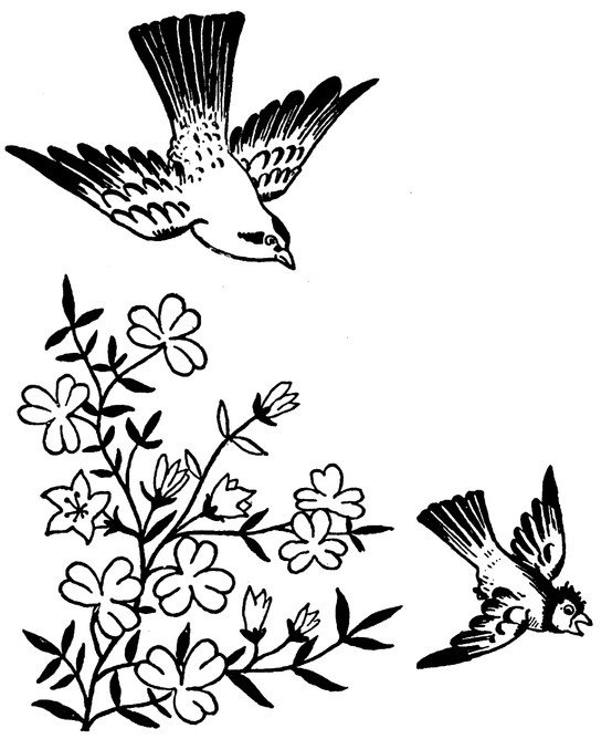 Рисунки для выжигания