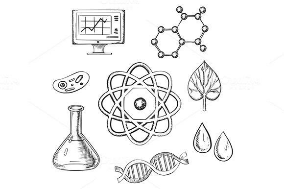 Раскраски по биологии