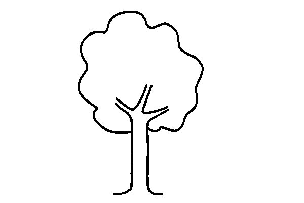 Контур дерева для детей