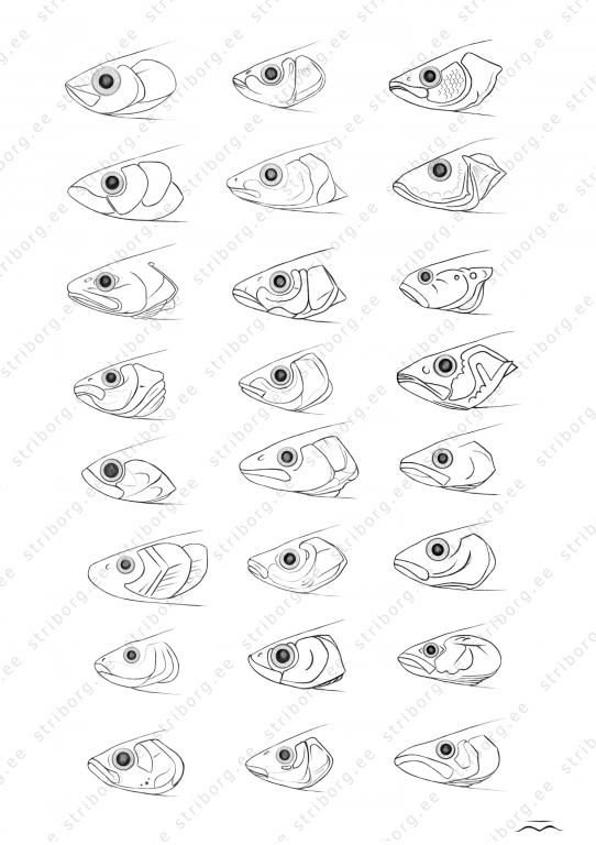 Чертеж воблера