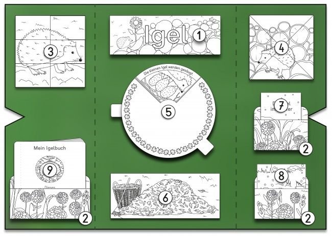 Макет лэпбука