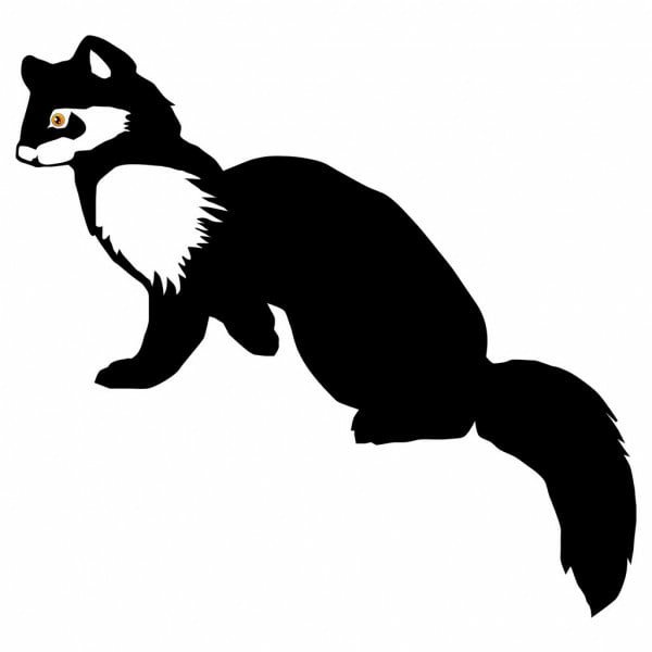 Куница вектор