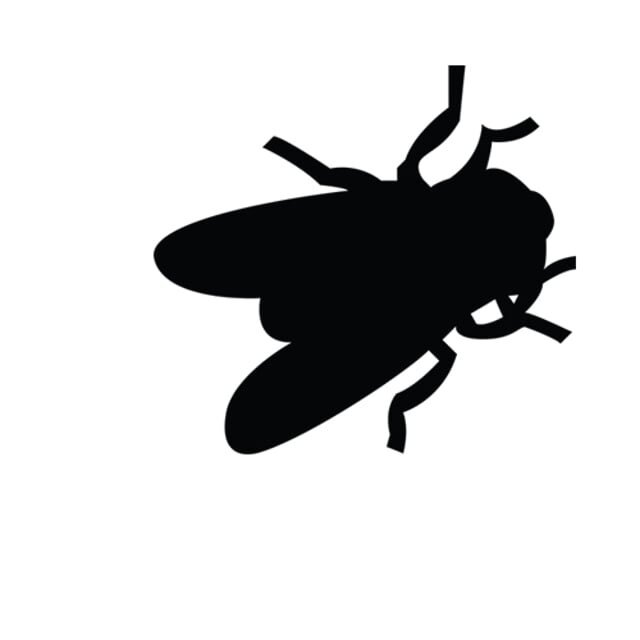 Муха силуэт