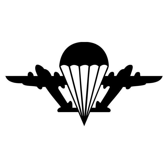 Флаг войск ВДВ