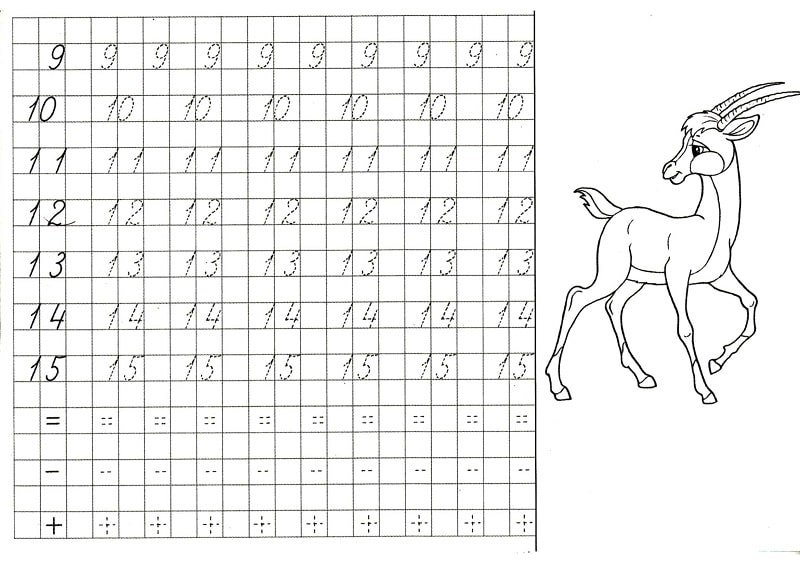 Цифры от 10 до 20 для дошкольников прописи