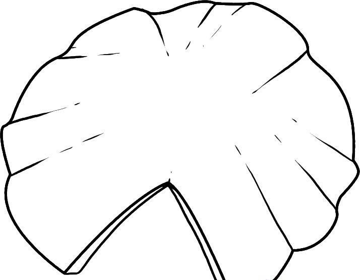 Лист кувшинки трафарет