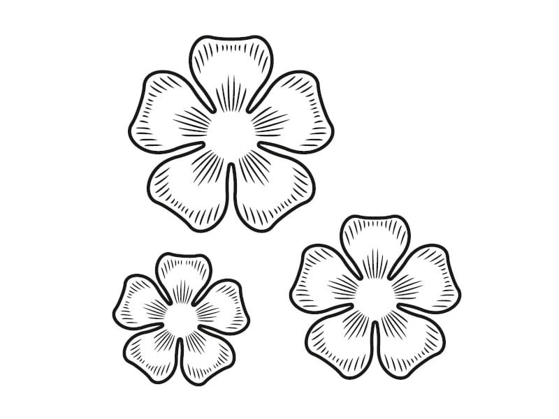 Трафарет цветочка