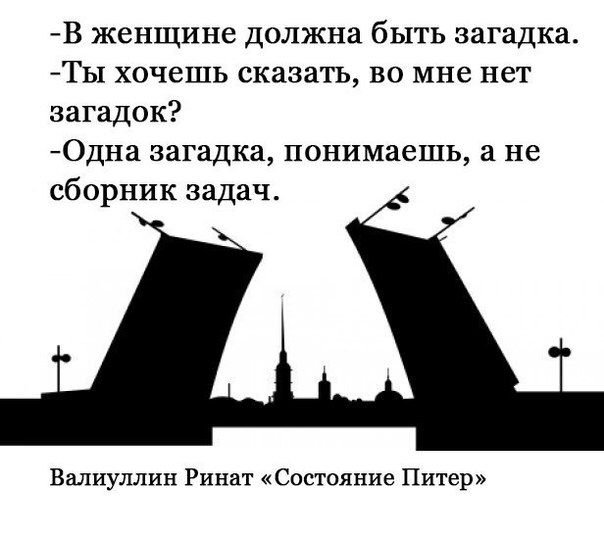 Дворцовый мост Санкт-Петербург силует