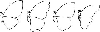 Крылья бабочки шаблон