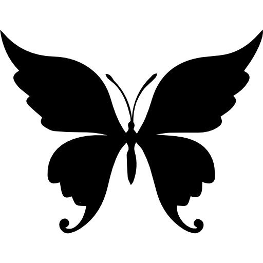 Контуры бабочек для декора