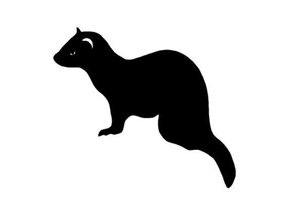 Хорек трафарет