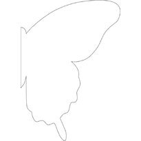 Половина бабочки шаблон