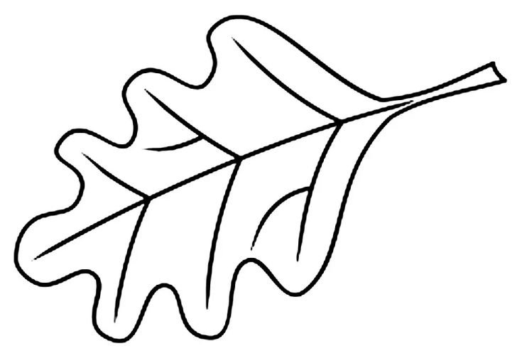 Листья раскраска