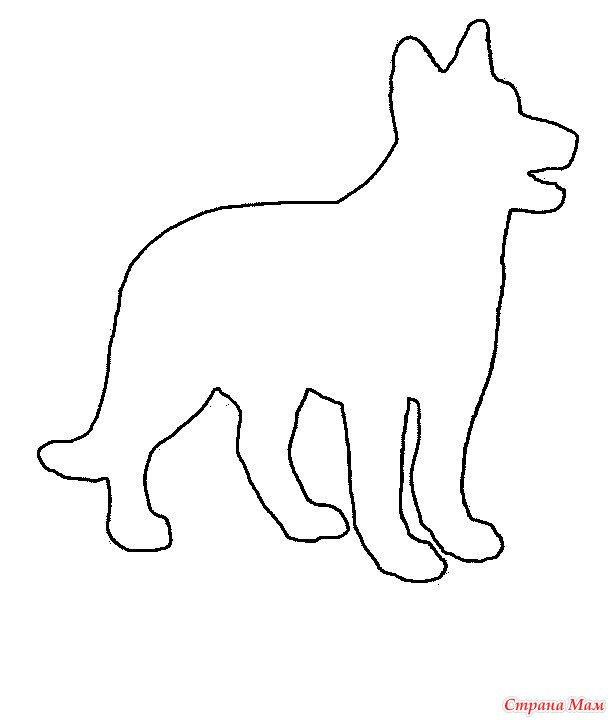 Контуры животных