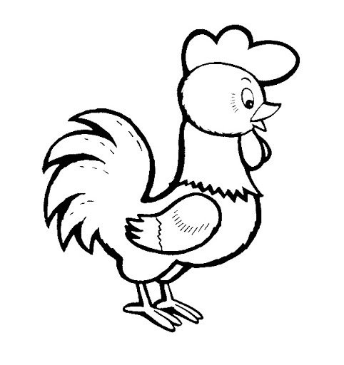 Петух рисунок