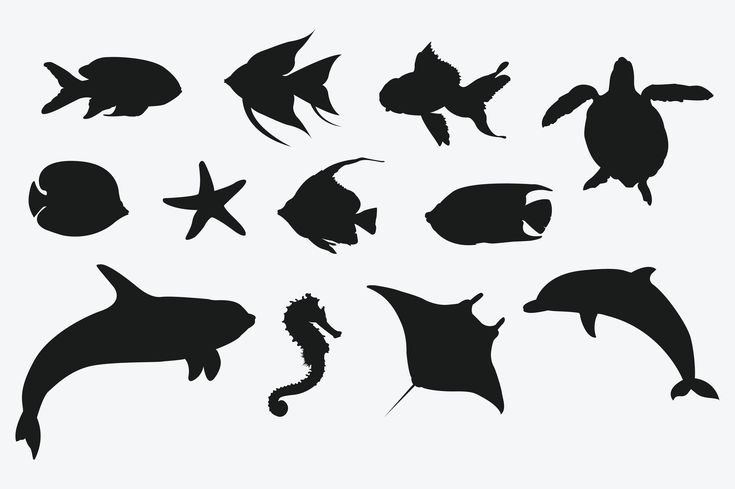 Силуэты рыб для детей