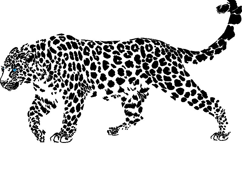 Ягуар рисунок